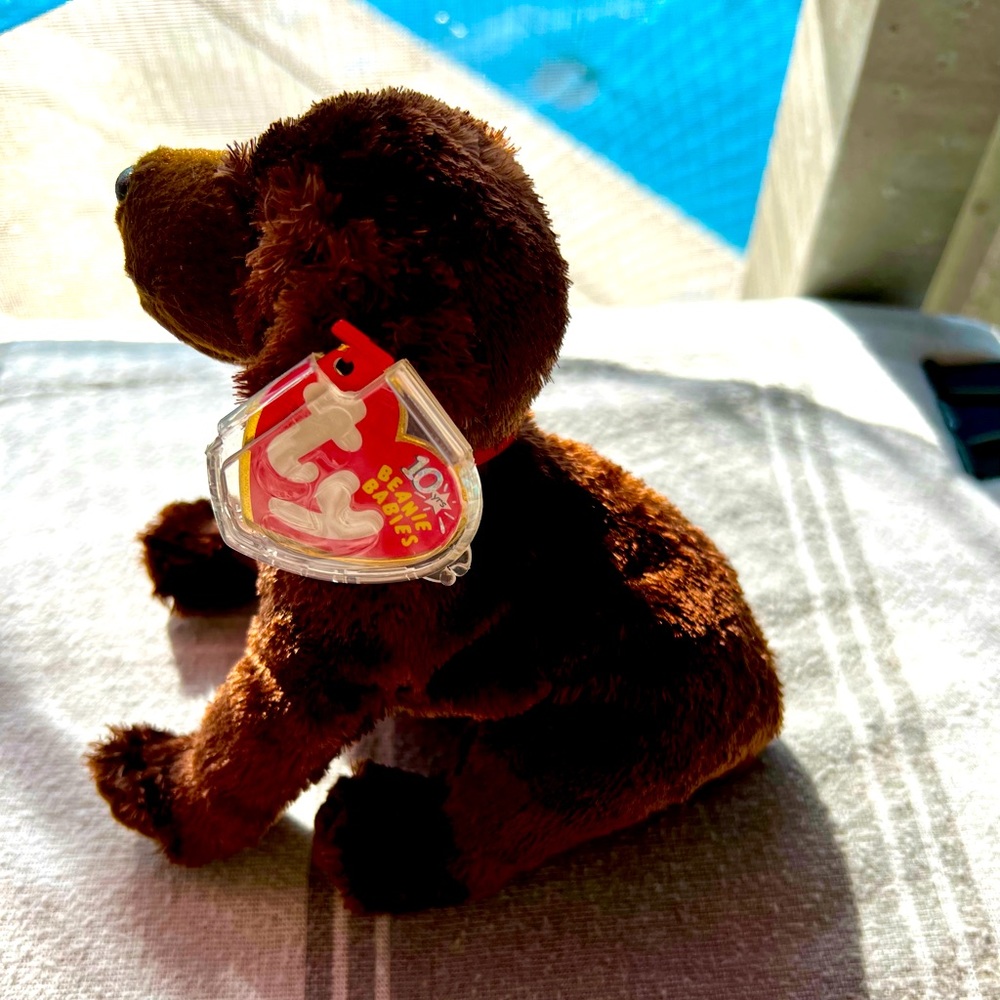 ‘Muddy’ Retired Beanie Baby Collectable Dog Labrador Plush Toy